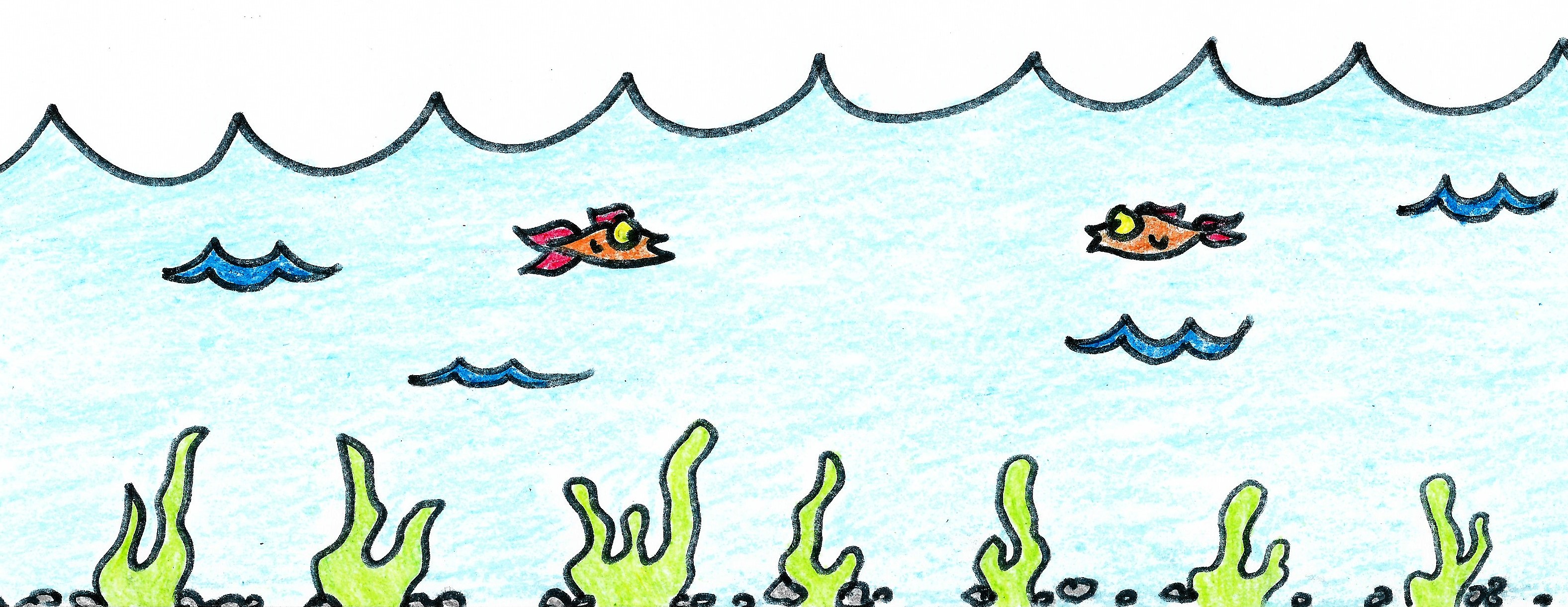 Under the water, seaweed grows and fish swim.