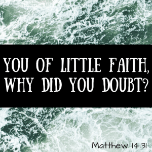 You of little faith, why did you doubt? Matthew 14:31