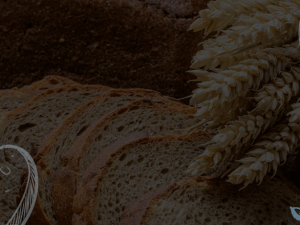 A Faithful, Wise, and Imperfect&nbsp;Servant