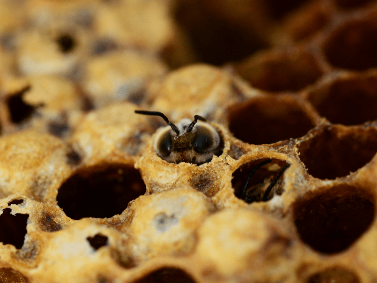 Jonathan and the&nbsp;Soldier