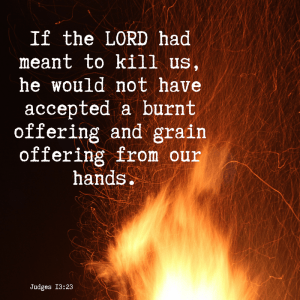 If the Lord had meant to kill us, he would not have accepted a burnt offering and grain offering from our hands. Judges 13:23