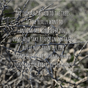 The thorn bush said to the trees, 'If you really want to anoint me king over you, come and take refuge in my shade; but if not, then let fire come out of the thorn bush and consume the cedars of Lebanon! Judges 9:15