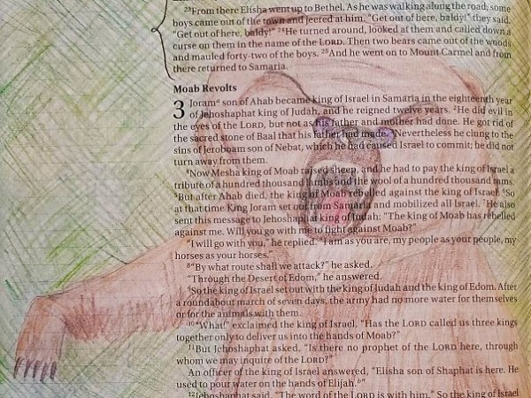 A Frightened Mama&nbsp;Bear