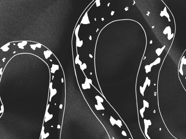 The serpent and the&nbsp;skirt