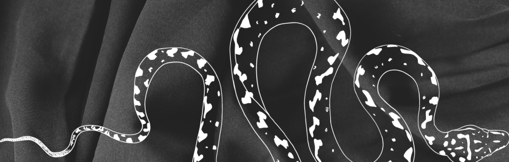 The serpent and the&nbsp;skirt