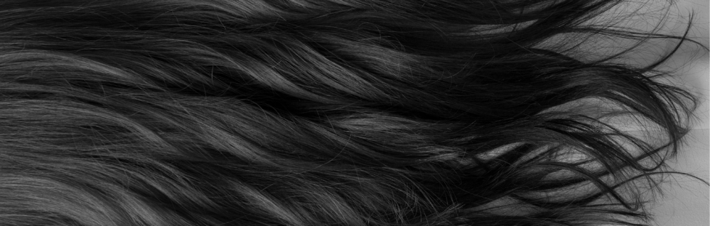 Delilah and the timnite&nbsp;woman